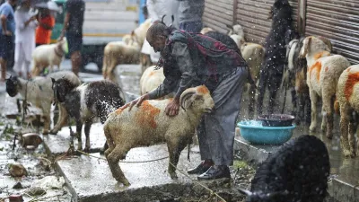 Bakri Eid, Bakri Eid BMC, Bakri Eid High Court, Bakri Eid Animal Sacrifices- India TV Hindi