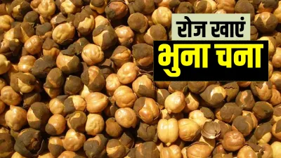 Roasted Chana benefits in hindi- India TV Hindi