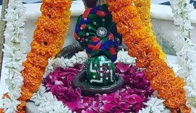 Masik Shivratri: आषाढ़ मास की मासिक शिवरात्रि आज, सुख-सृमद्धि के लिए भगवान शिव पर अर्पित करें ये चीज- India TV Hindi