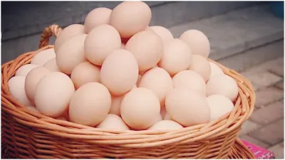 eggs - India TV Hindi