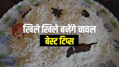 perfect boil rice- India TV Hindi