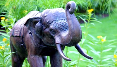 Vastu Tips today ghar ke mukhya dwar par hathi ki pratima Keep statue of pair of elephants at the ma- India TV Hindi