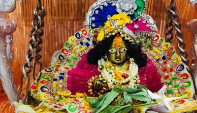 Krishna Janmashtami 2021: जन्माष्टमी के मौके पर श्रीकृष्ण को अर्पित करें ये चीजें, घर आएगी सुख संपत्- India TV Hindi