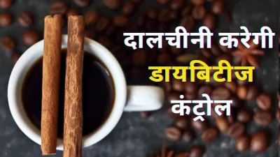 दालचीनी कर सकती है ब्लड शुगर लेवल को कंट्रोल, डायबिटीज के मरीज ऐसे करें सेवन- India TV Hindi