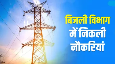 assistant accountant jobs for Bcom graduates in electricity department uppcl B.Com पास युवाओं के लिए- India TV Hindi