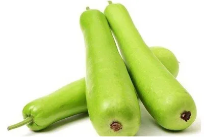 Bottle gourd- India TV Hindi