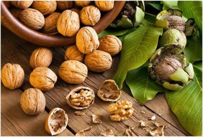 <p>Walnut or Akhrot</p>- India TV Hindi