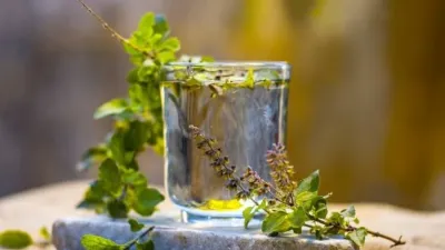 tulsi ajwain water - India TV Hindi