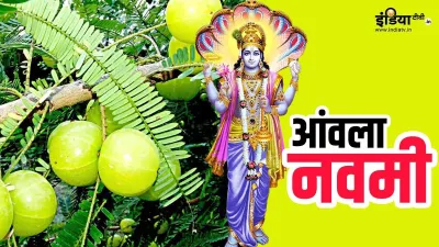 Amla Navami 2021- India TV Hindi