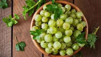 amla health benefits - India TV Hindi