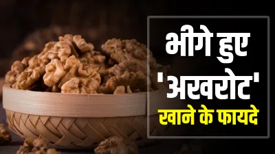 walnut - India TV Hindi