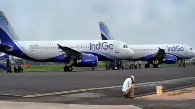 Abu Dhabi, Abu Dhabi Indigo, Abu Dhabi Indigo Loader, Abu Dhabi Loader Sleeping- India TV Hindi