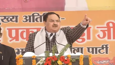 JP Nadda corona positive: भाजपा अध्यक्ष जे पी नड्डा कोरोना पॉज़िटिव, खुद को किया आइसोलेट- India TV Hindi