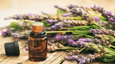 essential oil for migraine- India TV Hindi