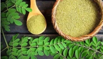 drumstick Sahjan or moringa for diabetes - India TV Hindi