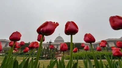 Mughal Garden - India TV Hindi