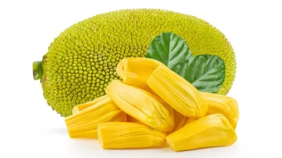 Jackfruit- India TV Hindi