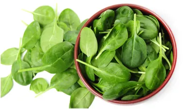 spinach- India TV Hindi