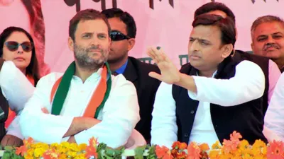 Congress, Congress Akhilesh Yadav, Congress Shivpal Yadav, Congress Candidate Akhilesh- India TV Hindi