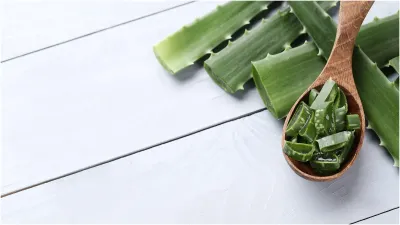 Troubled by skin problems Use aloe vera the difference will be visible स्किन की समस्याओं के लिए कारगर है एलोवेरा, एक ही इस्तेमाल में दिखने लगेगा अंतर - India TV Hindi