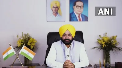 <p>Bhagwant Mann,CM,Punjab</p>- India TV Hindi