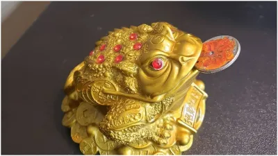 feng shui frog- India TV Hindi