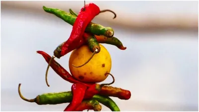 lemon and chilli - India TV Hindi