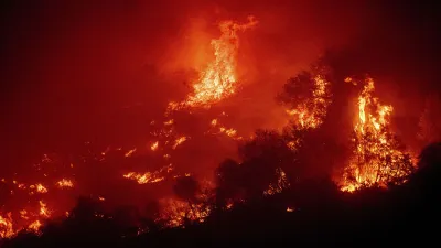 Forest Fire- India TV Hindi