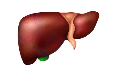 World Liver Day- India TV Hindi