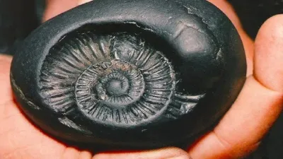 shaligram- India TV Hindi