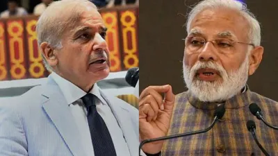 Shehbaz Sharif, Shehbaz Sharif Narendra Modi, Shehbaz Sharif Modi Tweet, Shehbaz Sharif Twitter- India TV Hindi