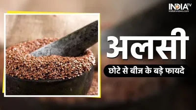 Flax Seeds- India TV Hindi