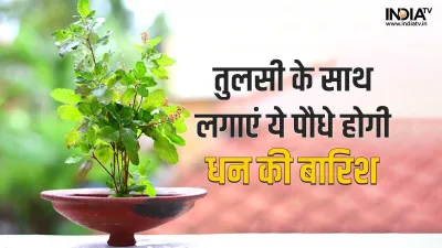 Vastu Tips- India TV Hindi