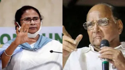 Mamata Banerjee And Sharad Pawar- India TV Hindi