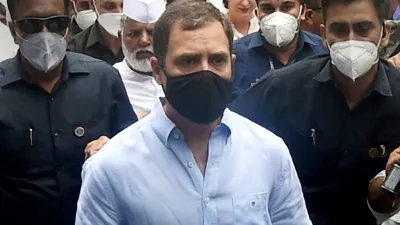 Rahul Gandhi - India TV Hindi