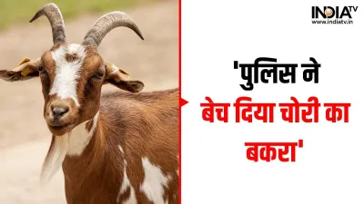 Rajasthan News, Police Selling Stolen Goat, MLA Police Selling Stolen Goat- India TV Hindi