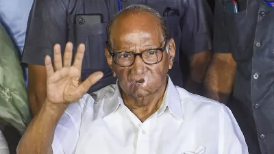 Sharad Pawar (File Photo)- India TV Hindi