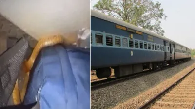 Snake In Train- India TV Hindi