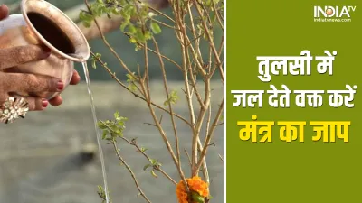 Tulsi- India TV Hindi