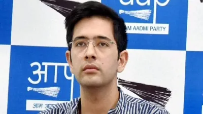 AAP leader Raghav Chadha(Flie Photo)- India TV Hindi