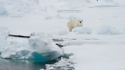 Treasure Hidden in Arctic- India TV Hindi