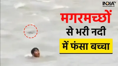  Child surrounded by Crocodiles - India TV Hindi