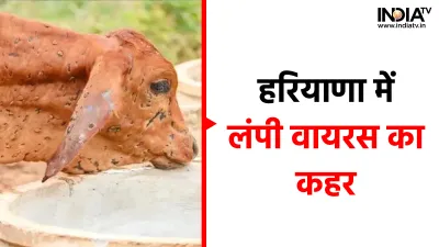 Lampi virus - India TV Hindi