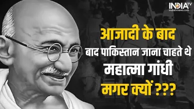 Mahatma Gandhi Pakistan- India TV Hindi