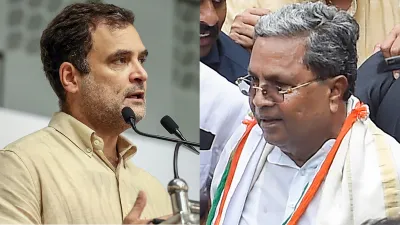 Siddaramaiah Birthday, Siddaramaiah Birthday News, Rahul Gandhi News- India TV Hindi