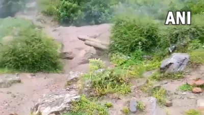 flood in Himachal Pradesh- India TV Hindi