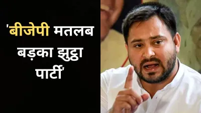 Tejashwi Yadav targeted BJP- India TV Hindi