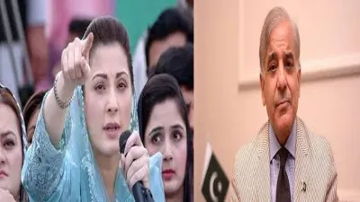 Maryam Nawaz and Shahbaz Shareef- India TV Hindi