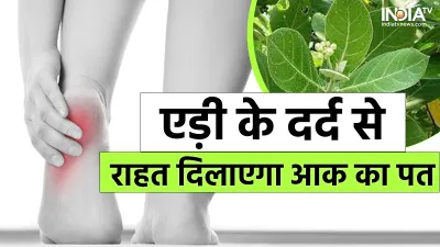 Aak leaves for Heel Pain- India TV Hindi