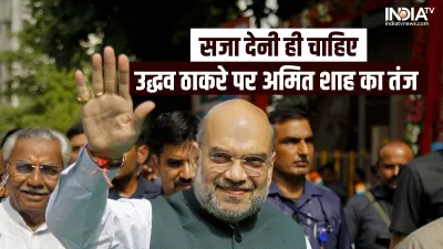 Home Minister Amit Shah- India TV Hindi